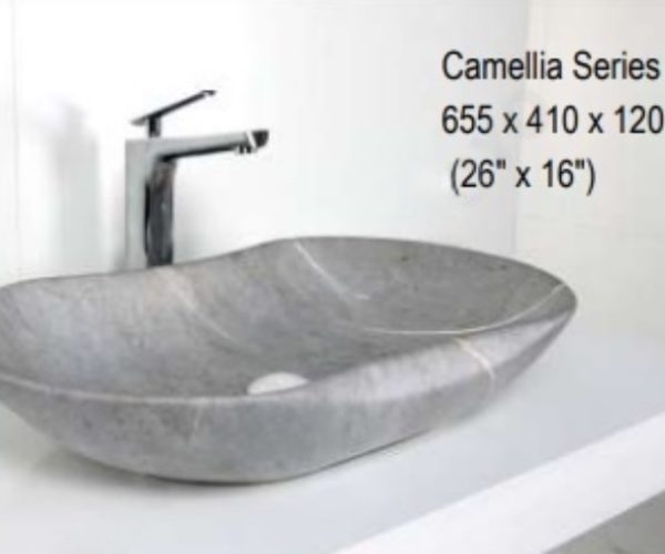 camellia 163a