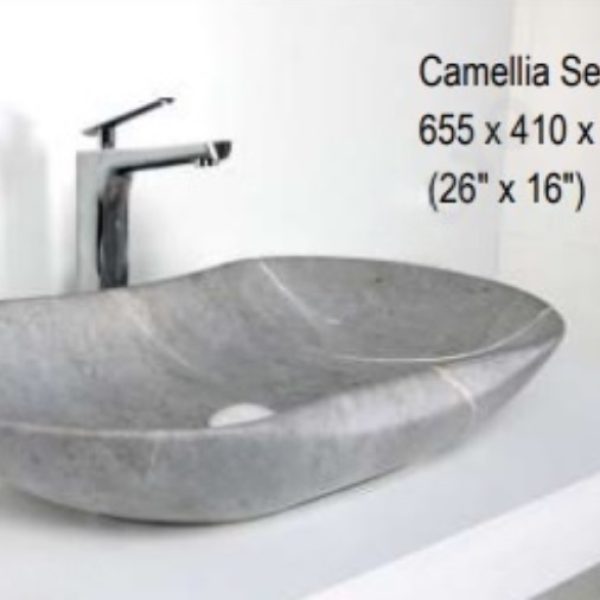 camellia 163a